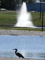 Barnett Park fountain